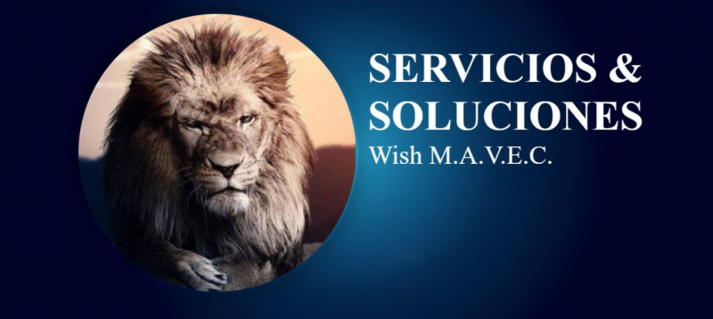 Servicios & Soluciones Wish M.A.V.E.C. Logo